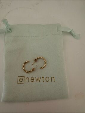 Enewton Gold 2mm Hoops